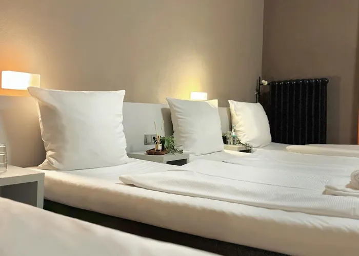 كولور 3* فرانكفورت